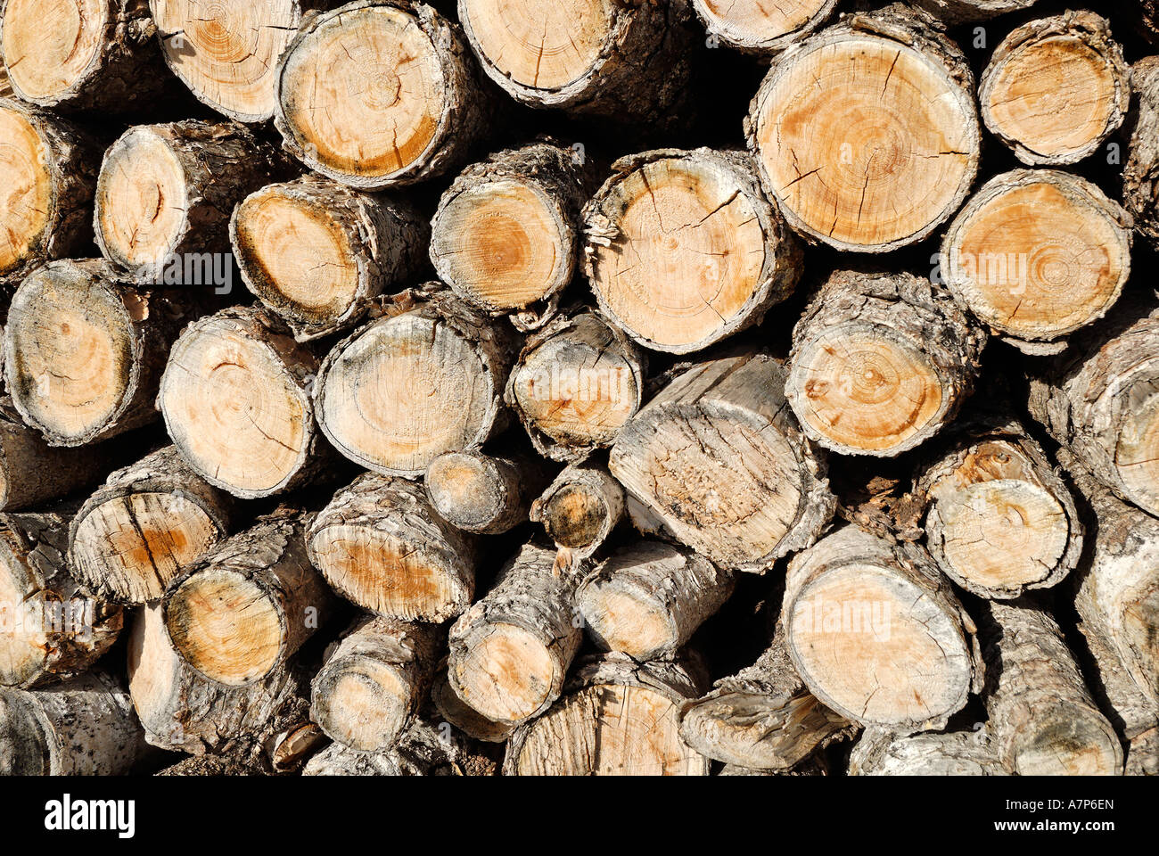Nachwachsender Rohstoff Holz renewable resource wood Stock Photo