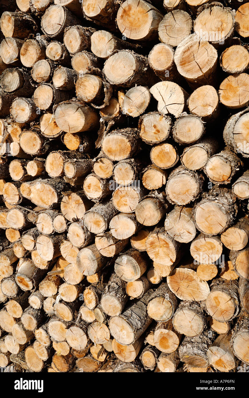 Nachwachsender Rohstoff Holz renewable resource wood Stock Photo