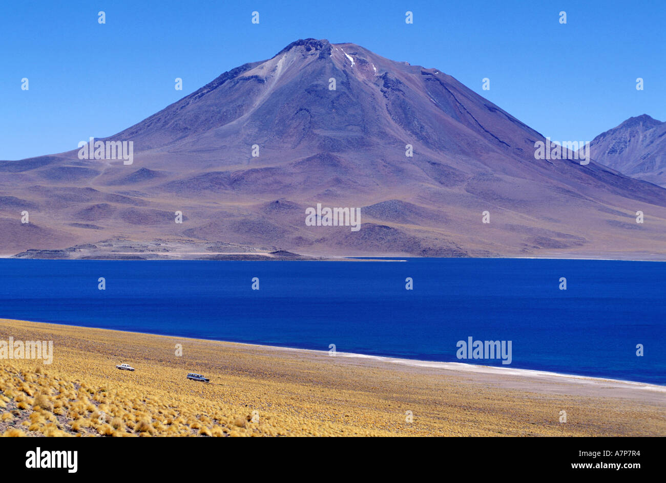 Chile, Atacama desert, Miscanti lagoon by the Lascar volcano Stock Photo