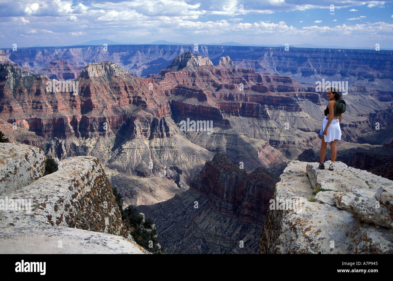 At the edge of the Grand Canyon Stock Photo