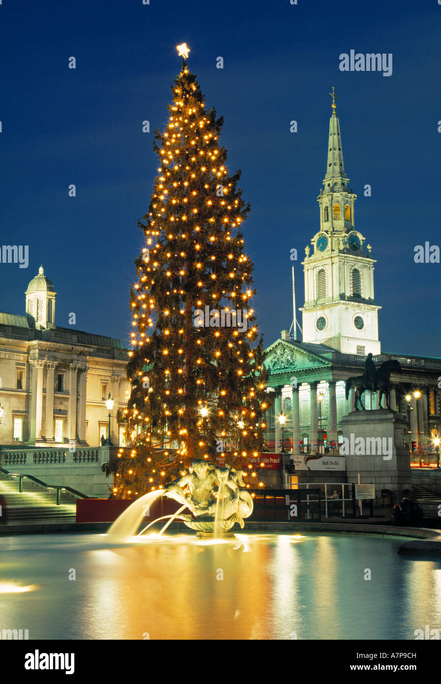 Christmas tree, Trafalgar Square, London, England Stock Photo Alamy
