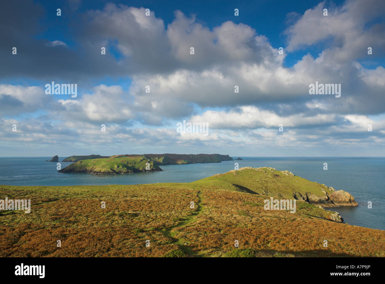 Wooltrack Point & Skomer Island, Pembrokeshire Coastal Path,Pembrokeshire, Wales, UK Stock Photo