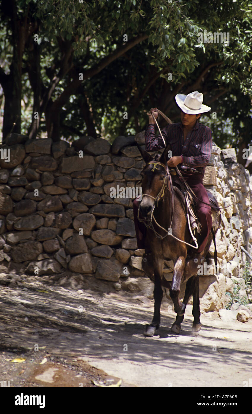 Mexico Chihuahua State Batopilas In The Copper Canyon Man Riding A Horse Stock Photo