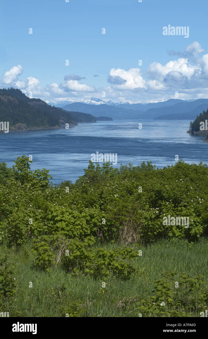 Seymour Narrows Campbell River Vancouver Island