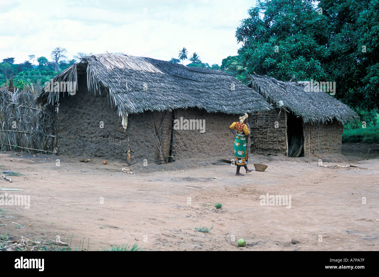 AFRICA KENYA Digo Community Kenyan village with adobe houses and