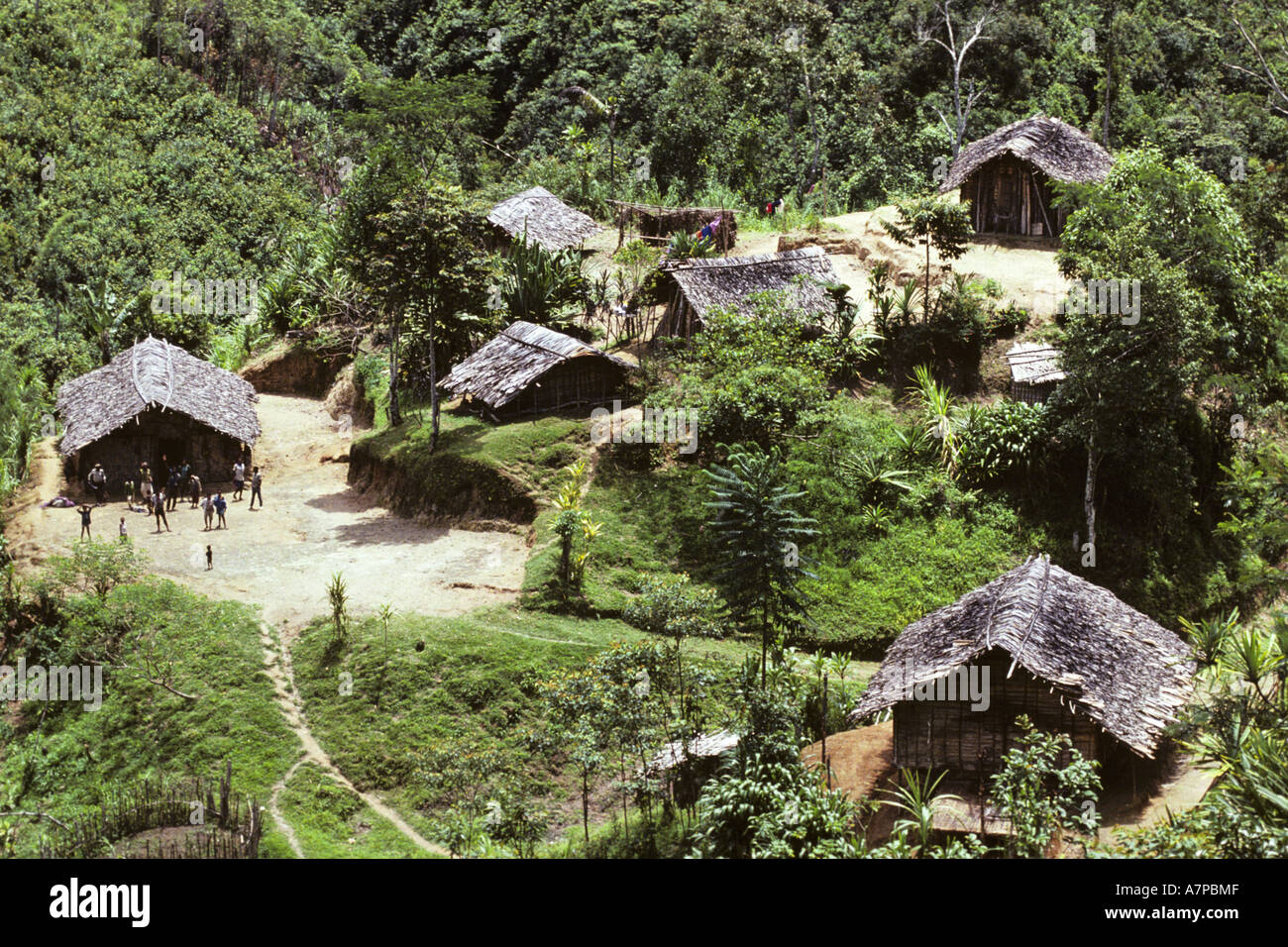 houses in the village, Highlands, Papua New Guinea Stock Photo Alamy