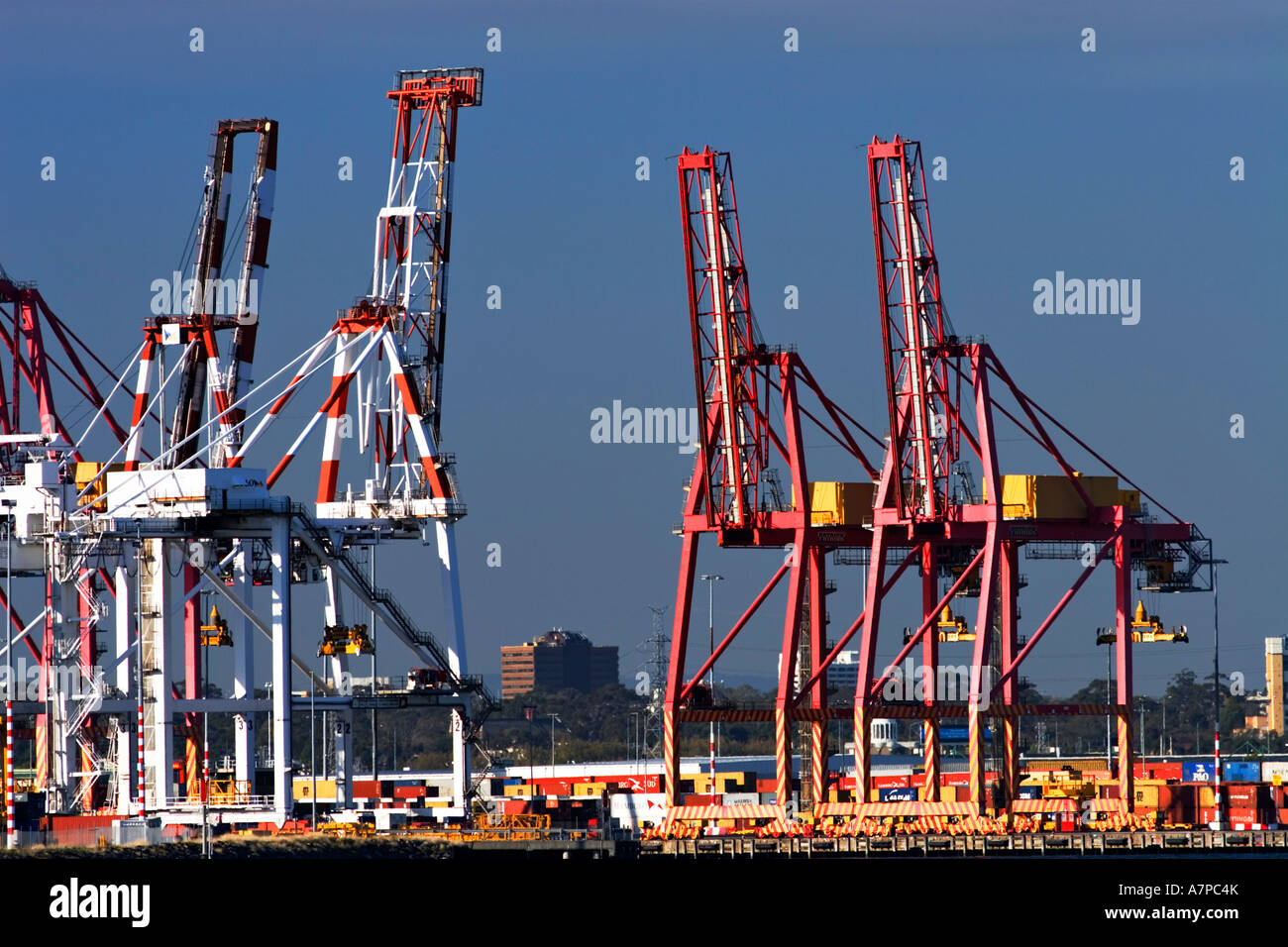 Container Gantry Crane