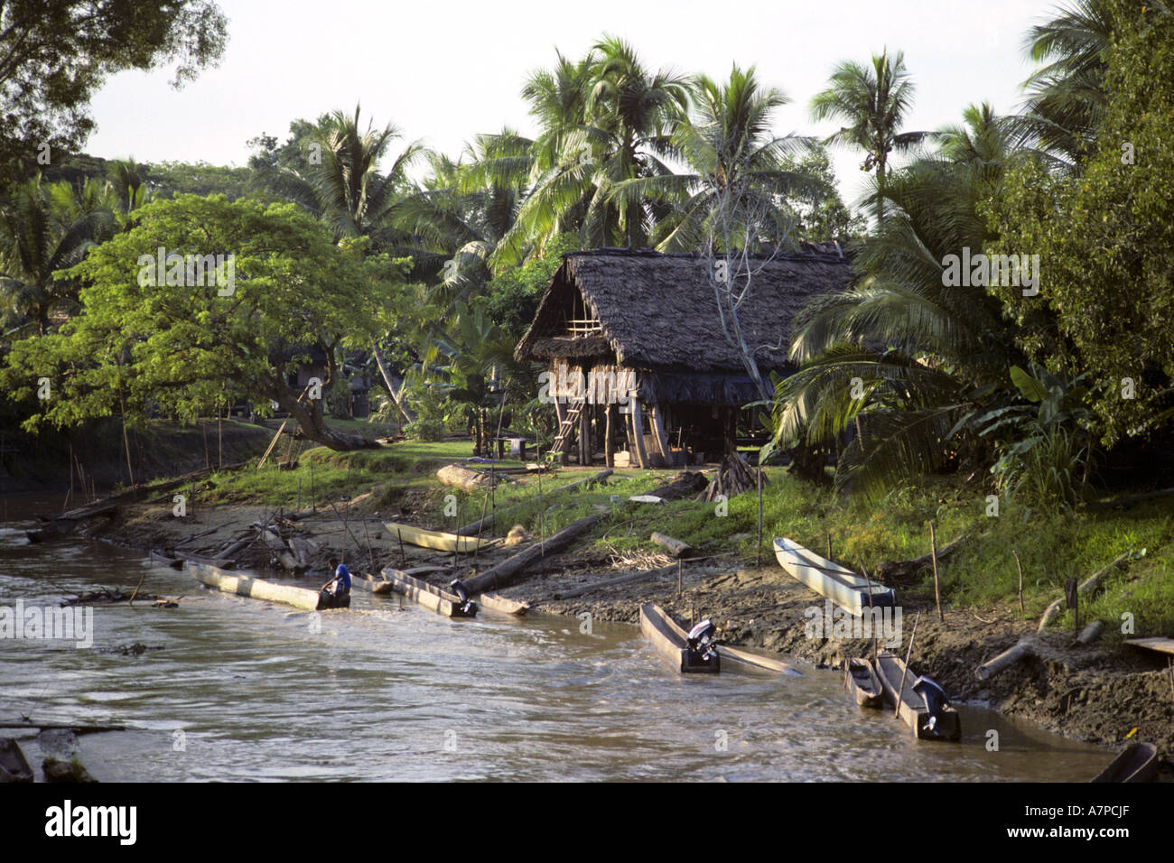living house at Sepik River, Papua New Guinea Stock Photo 6794030 Alamy