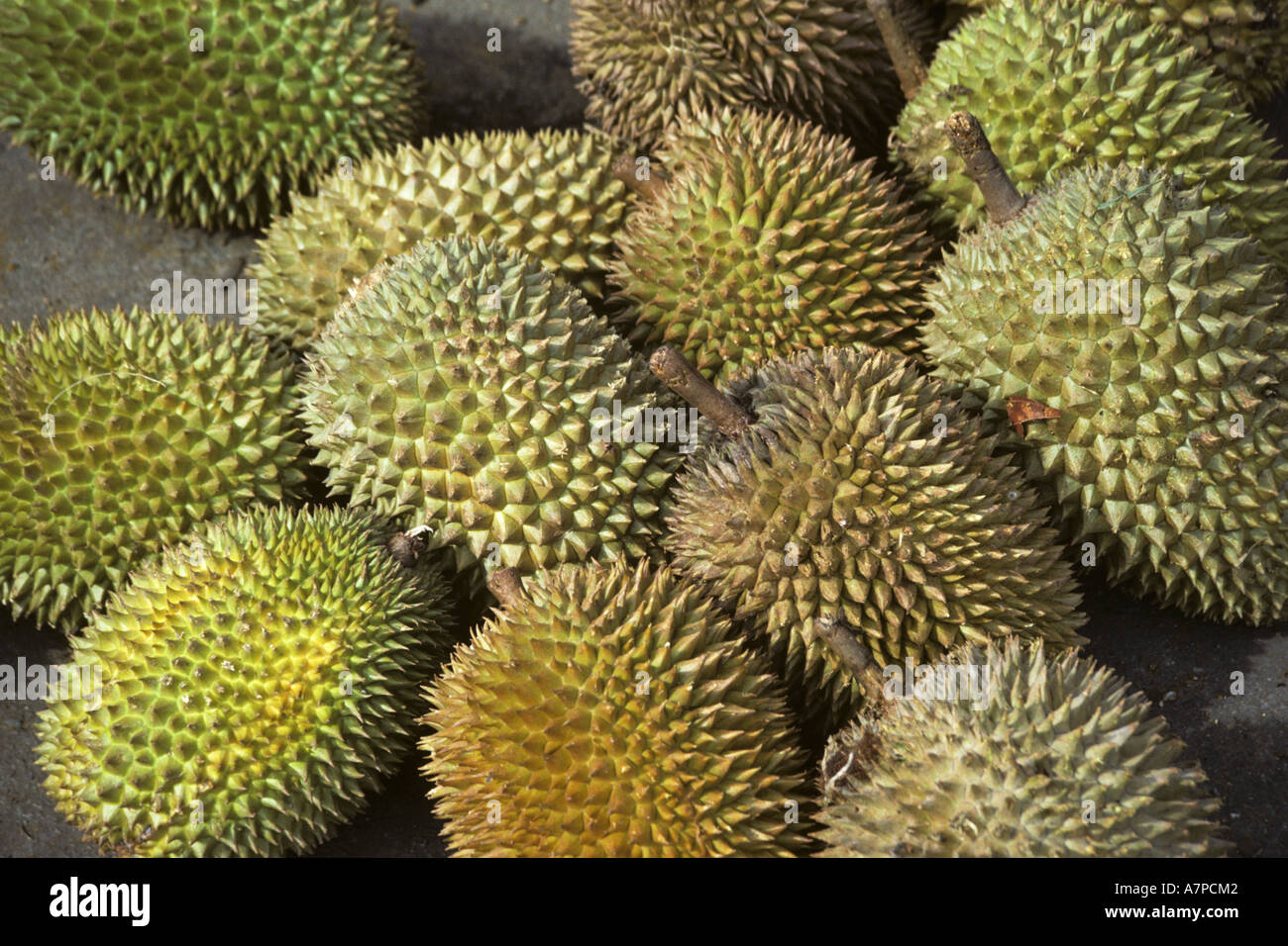 litchifruits at the market, Malaysia, Sarawak, Kuching Stock Photo