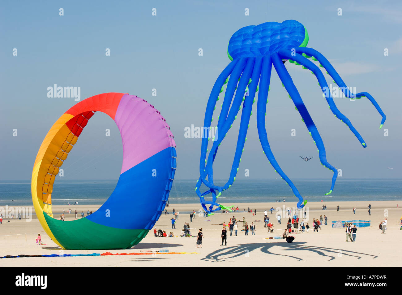 Berck sur Mer International Kite Festival France Stock Photo Alamy