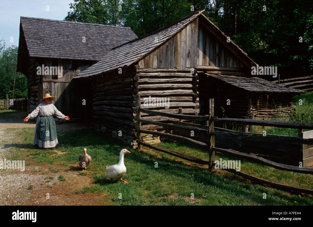 Virginia Appalachian Mountains,Southern Appalachia,Shenandoah,Blue