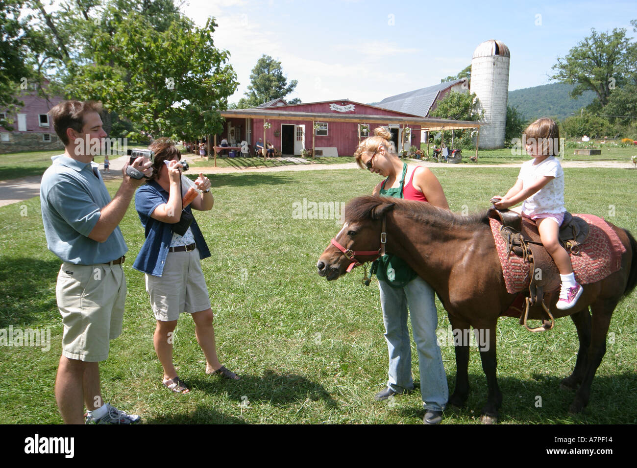 Virginia Loudoun County,Bluemont,Great Country Farms,dog dogs,pet pets