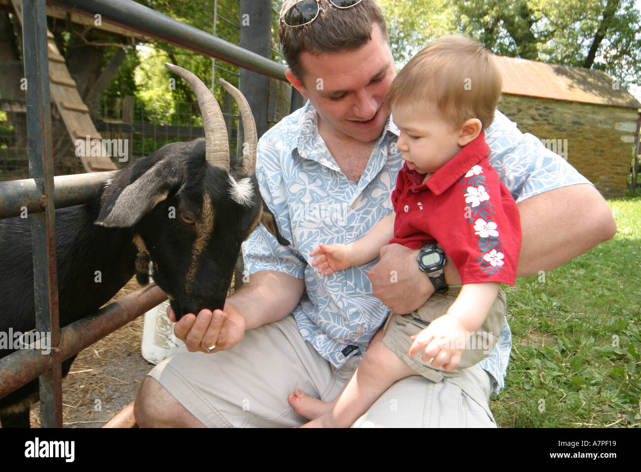 Virginia Loudoun County,Bluemont,Great Country Farms,dog dogs,pet pets