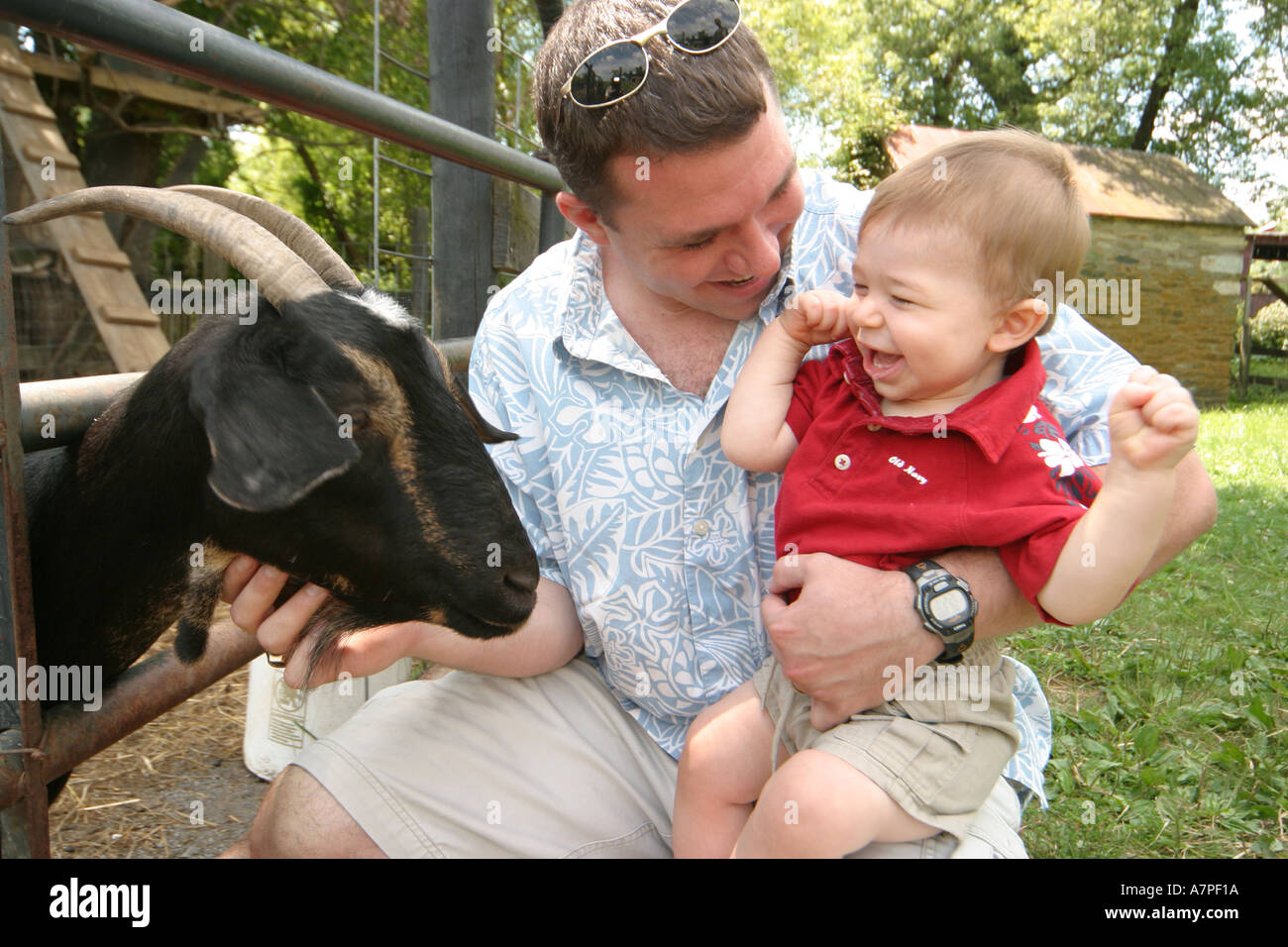 Virginia Loudoun County,Bluemont,Great Country Farms,dog dogs,pet pets