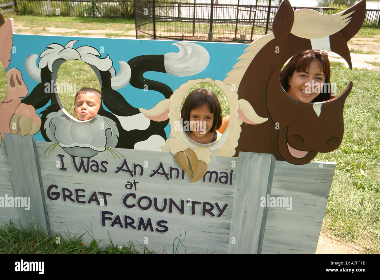 Virginia Loudoun County,Bluemont,Great Country Farms,dog dogs,pet pets