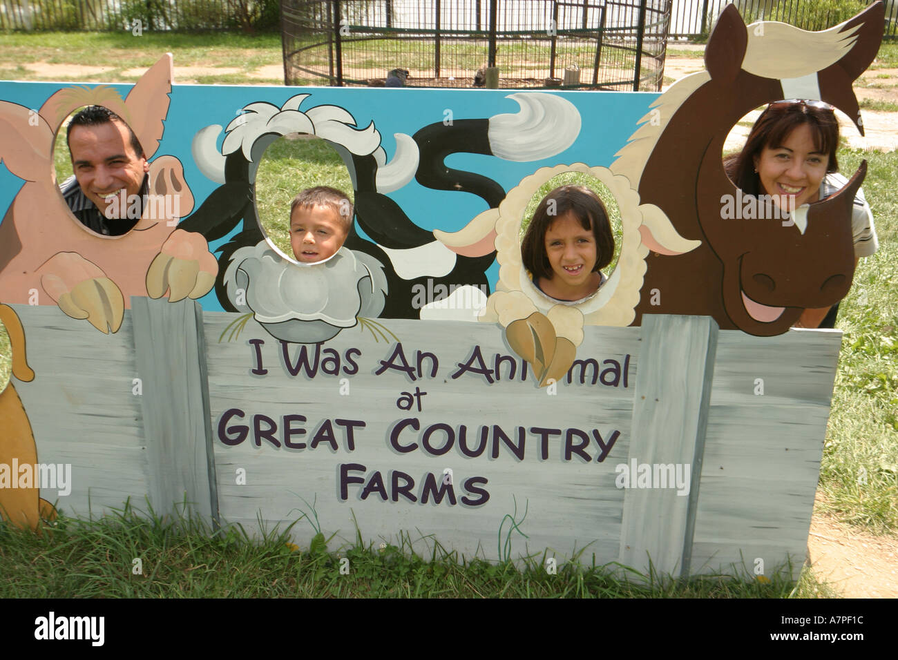 Virginia Loudoun County,Bluemont,Great Country Farms,dog dogs,pet pets