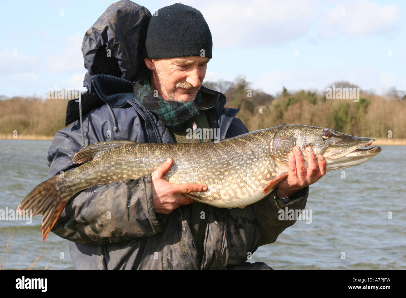 Pike fish record hi-res stock photography and images - Alamy