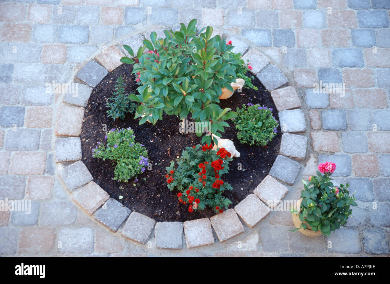 small round front garden, Germany Stock Photo