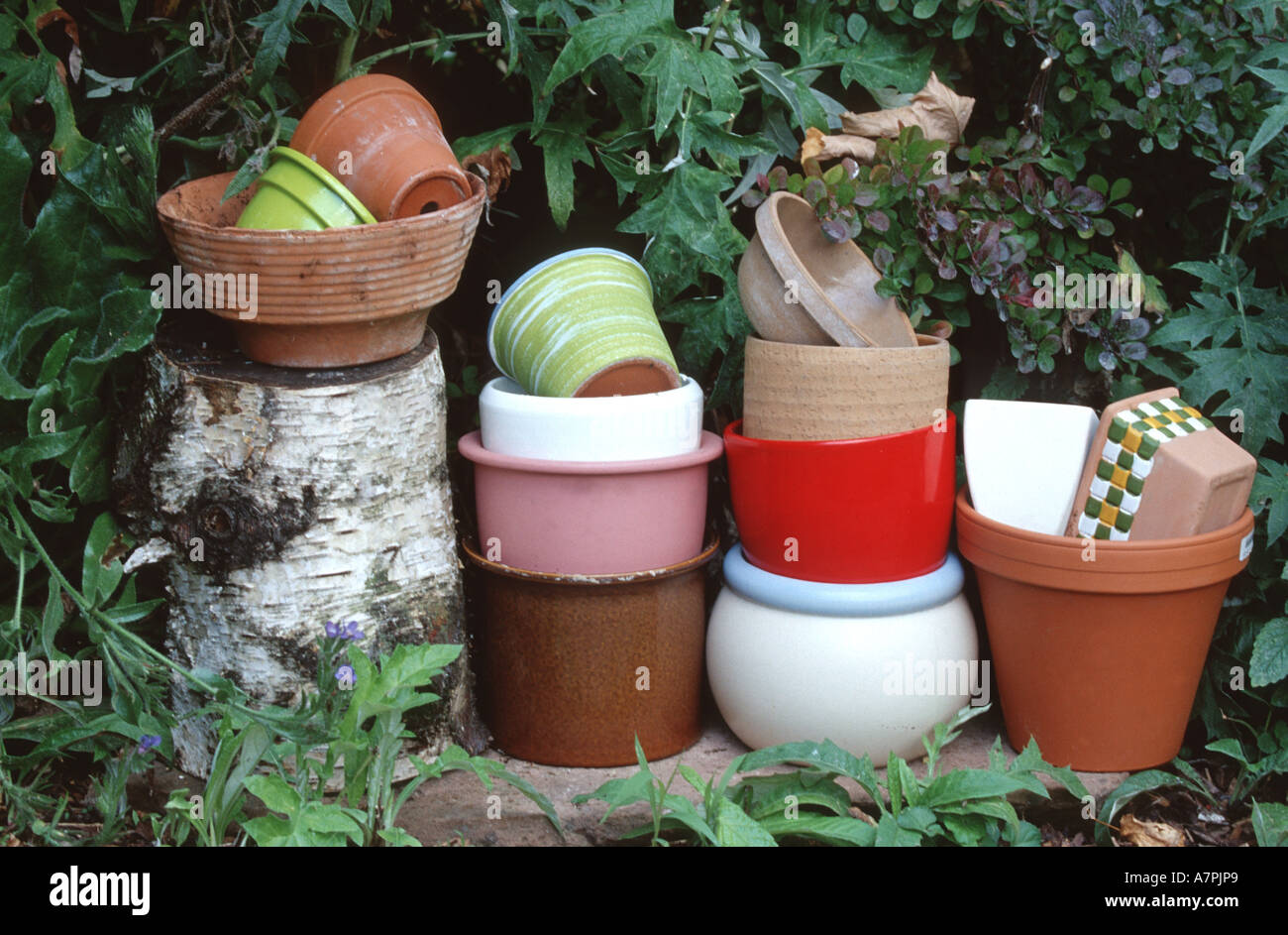 empty flower pots in garden, Germany Stock Photo Alamy