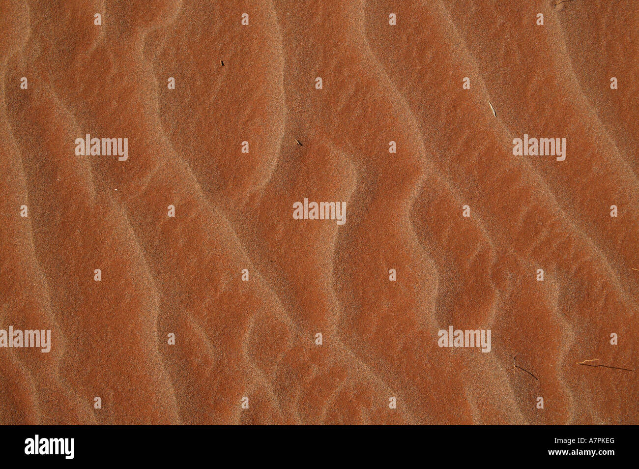 Patterns in wind blown sand Namibrand Nature Reserve Namibia Stock Photo