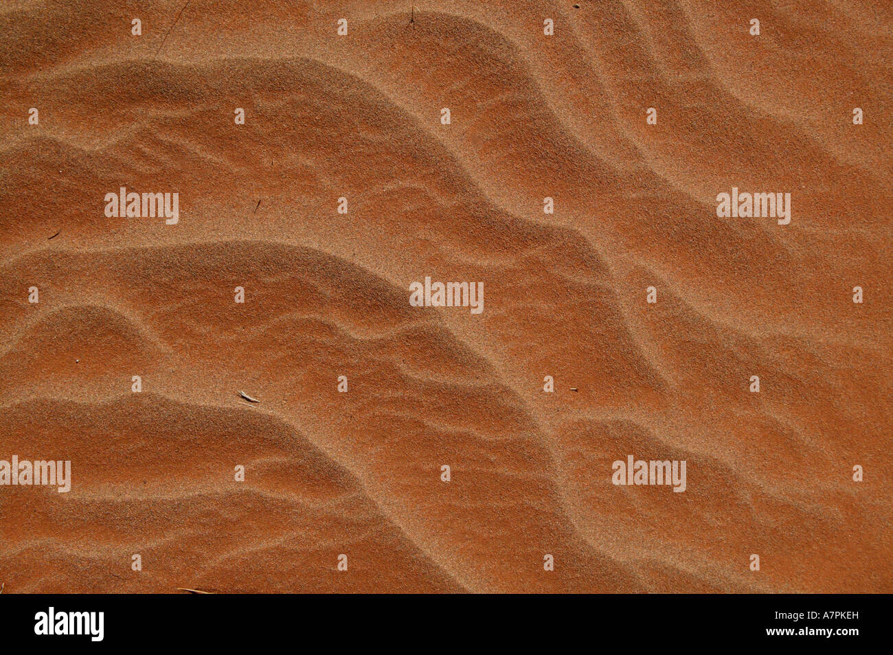 Patterns in wind blown sand Namibrand Nature Reserve Namibia Stock Photo
