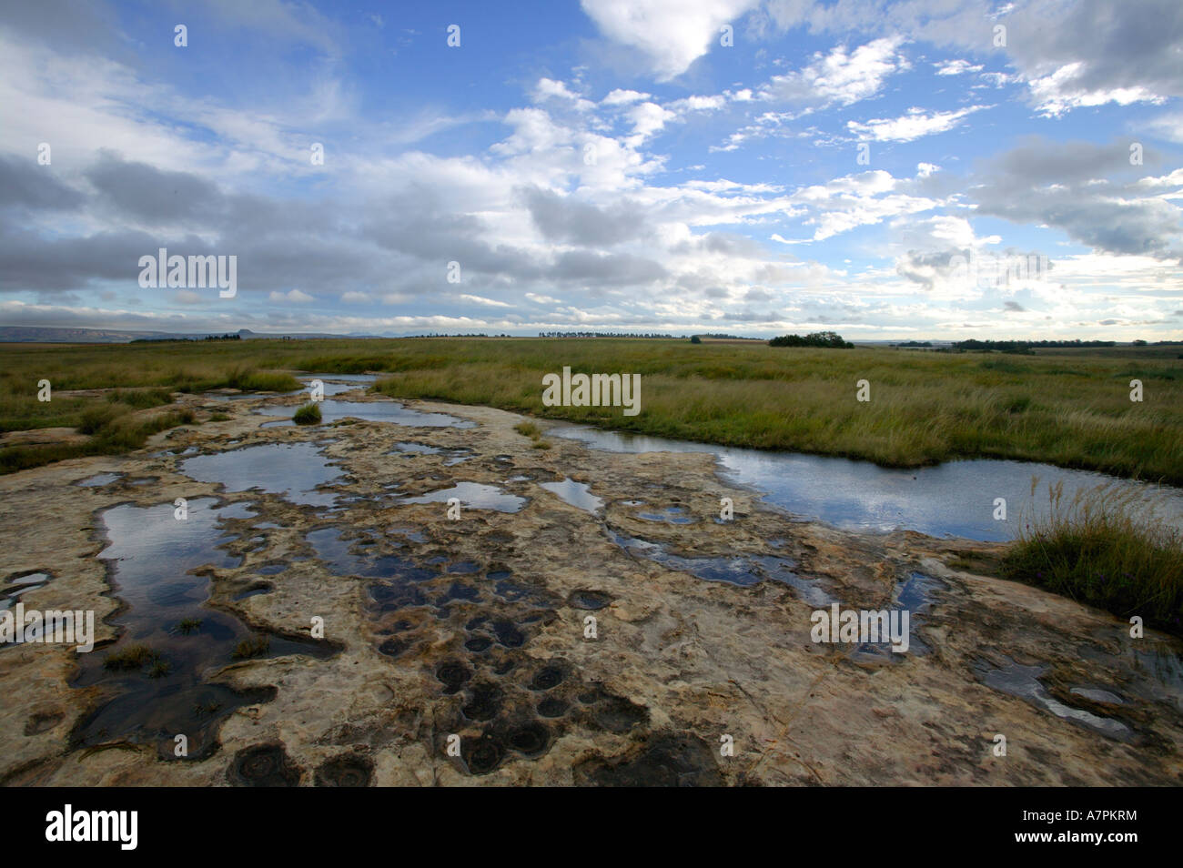 A rural countryside scene with rain water gathered in puddles on a flat rock in an open flat grassland Eastern Free State Stock Photo