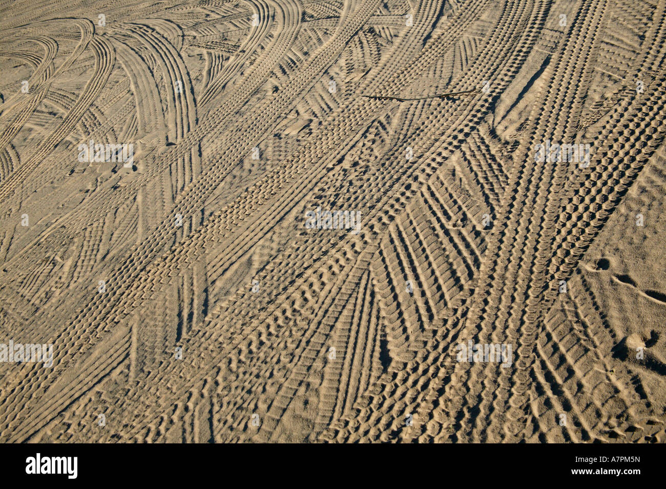 Tyre tracks Kgalagadi Transfrontier Park Northern Cape South Africa Stock Photo