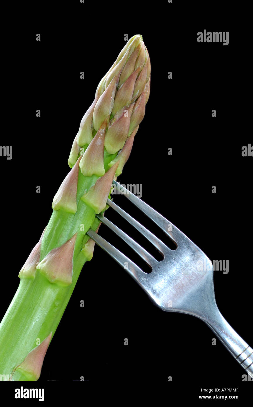 Cutting asparagus Stock Photo