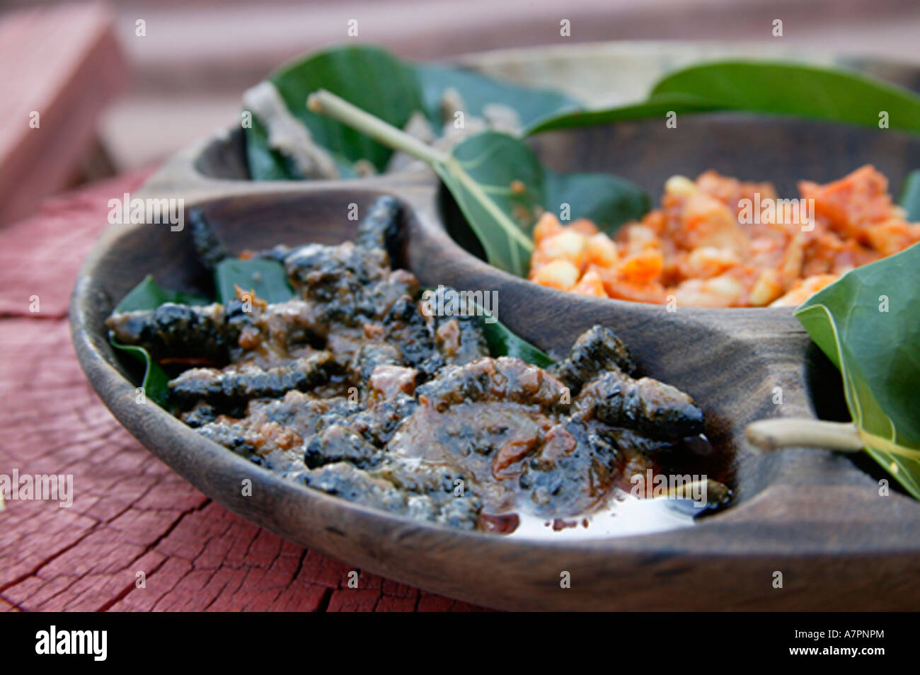 Snacks offered to tourists at the Shangana cultural village - platter includes roasted mopane worms on the left and crocodile Stock Photo