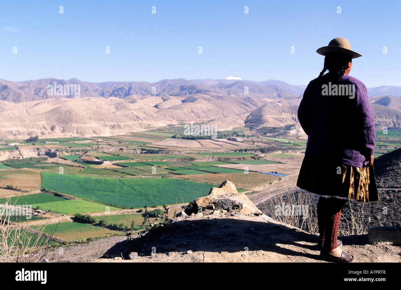 Peru, Arequipa Department, Valley of Canyon del Colca Stock Photo