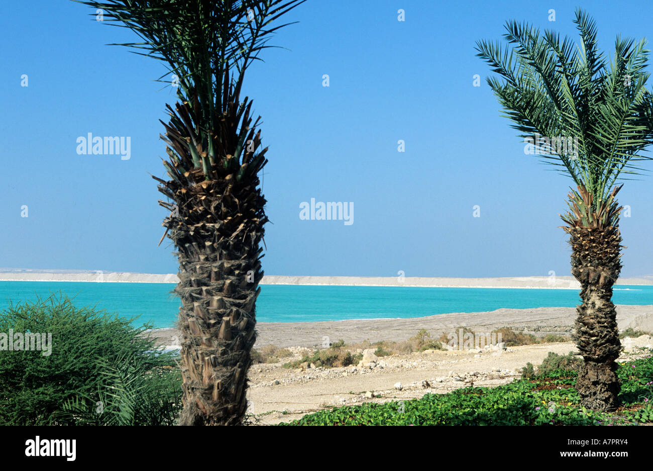 Jordan, Dead Sea Stock Photo