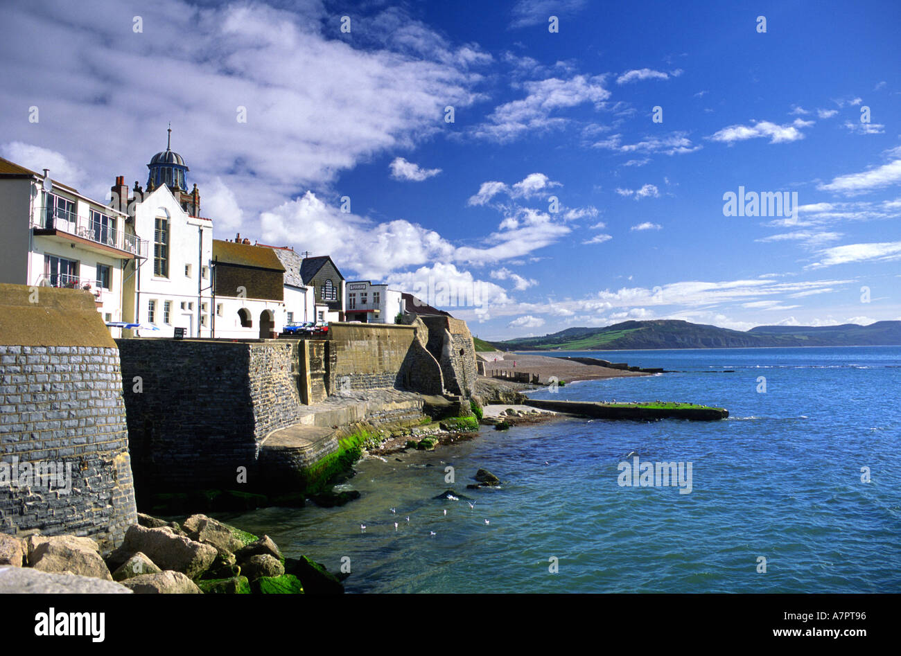 Lyme Bay and Custom House Lyme Regis Dorset England County UK United