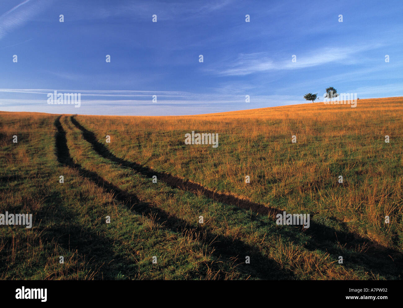 Knightly Path Northamptonshire northants england english british gb hi-res stock ...