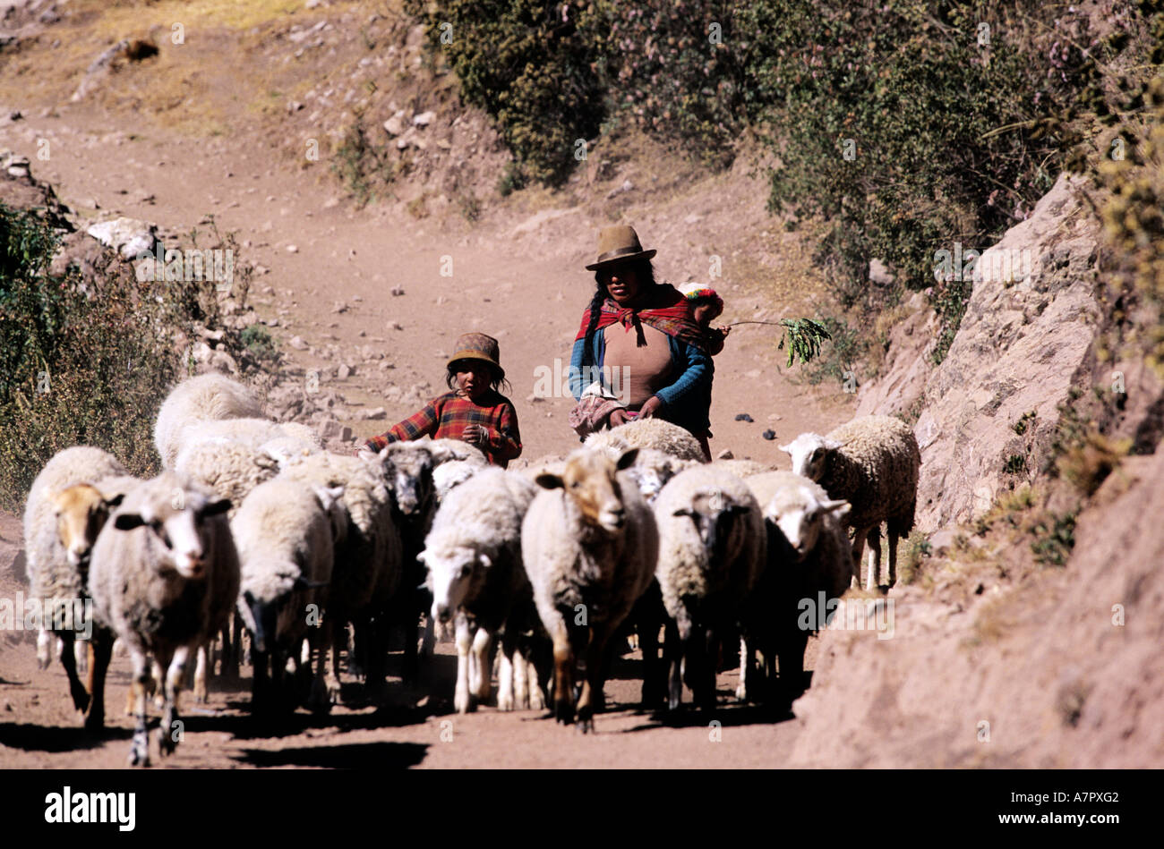 Peru, Cuzco Department, the Sacred Valley, rural scene Stock Photo