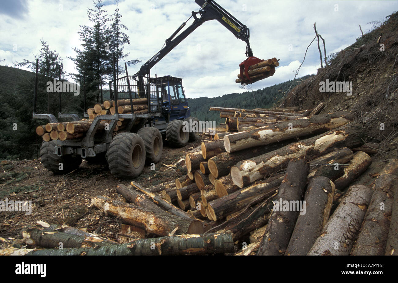 Loading logs on to forwarder in Bovey Valley Woods Dartmoor National Park Stock Photo