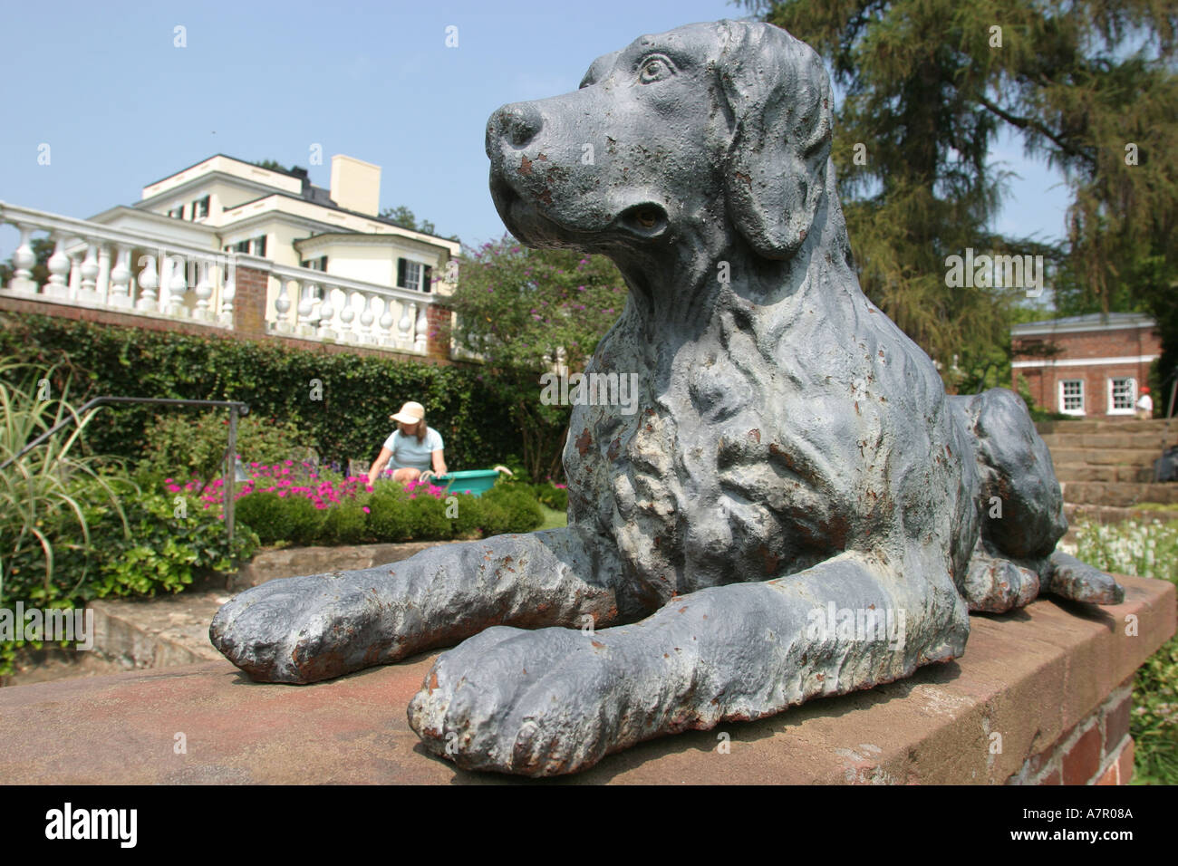 the dog house leesburg