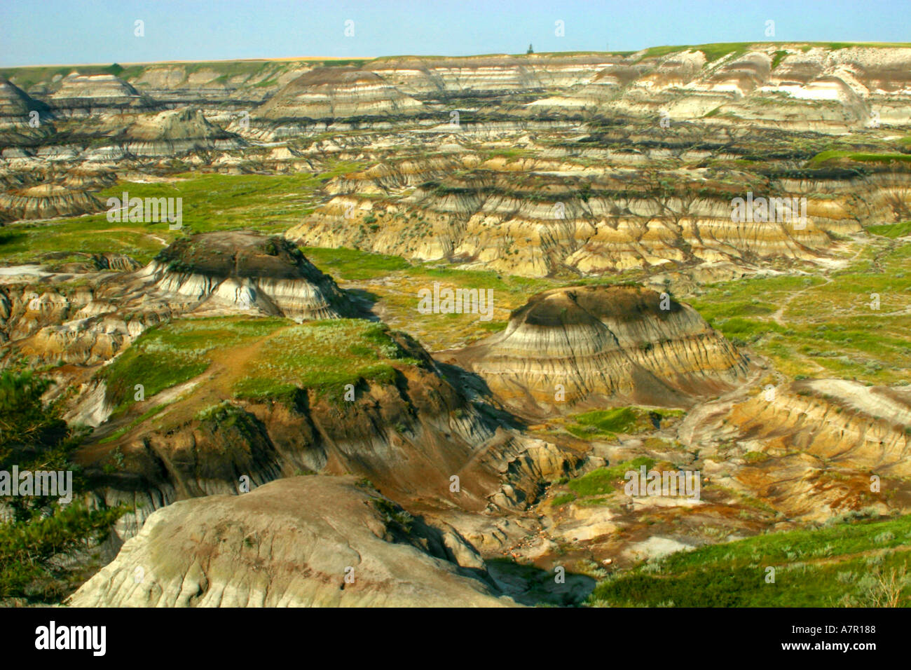 Horizontal Horseshoe Canyon badlands Drumheller Alberta Canada Stock