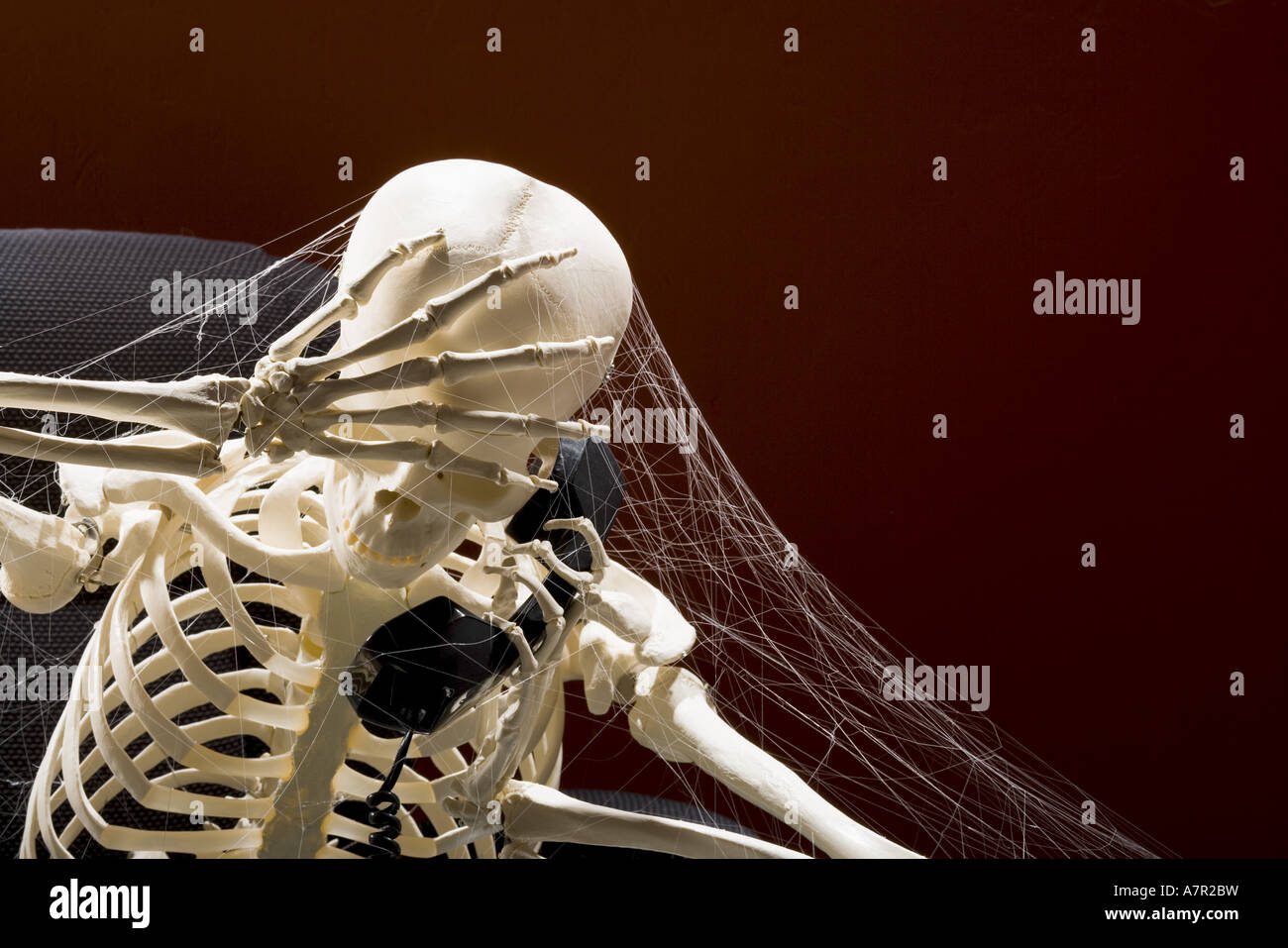 Skeleton Sitting At Desk Talking On Telephone With Webs Stock