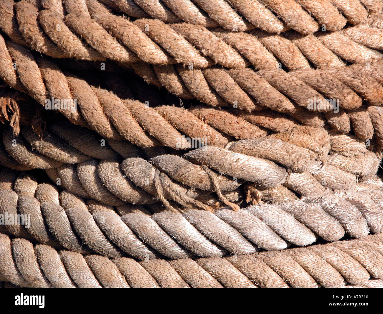 Vector ocean lines hi-res stock photography and images - Alamy