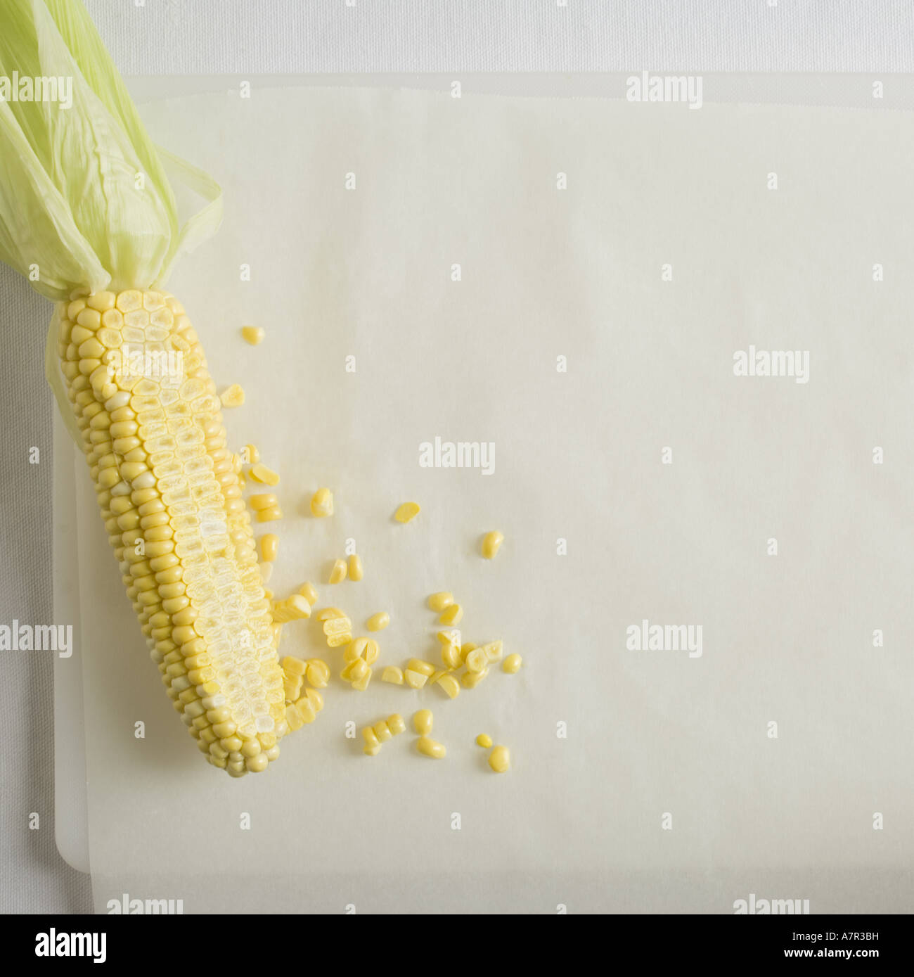 Cob of corn with niblets Stock Photo Alamy