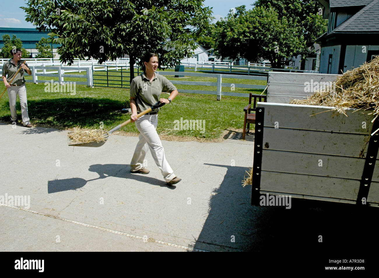 Employees at Kentucky Horse Park cleaning stables and removing horse ...