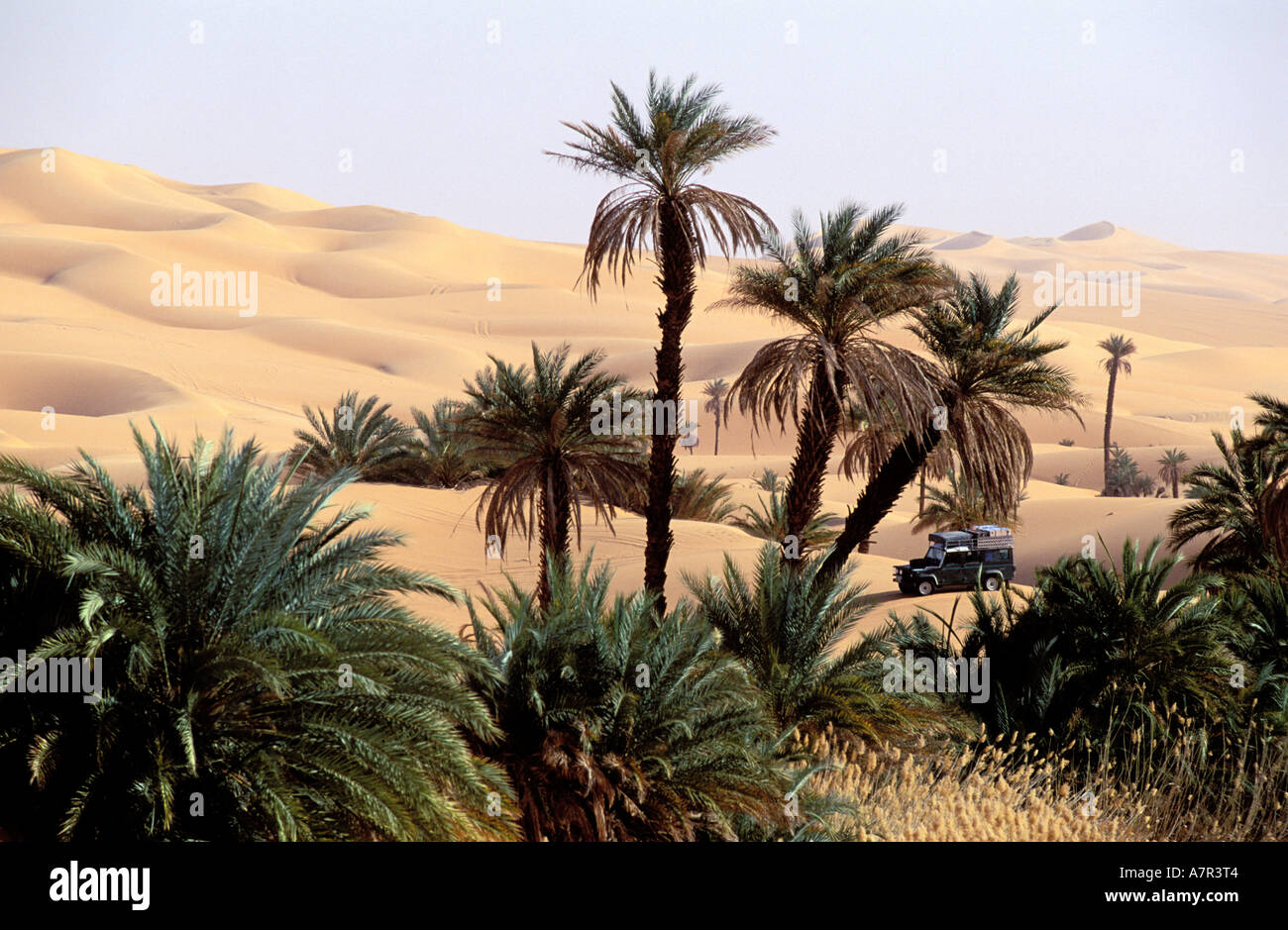 Libya, region of the desert, the Fezzan (Sahara), Erg Ubari, passage of a 4x4 in the oasis Stock Photo