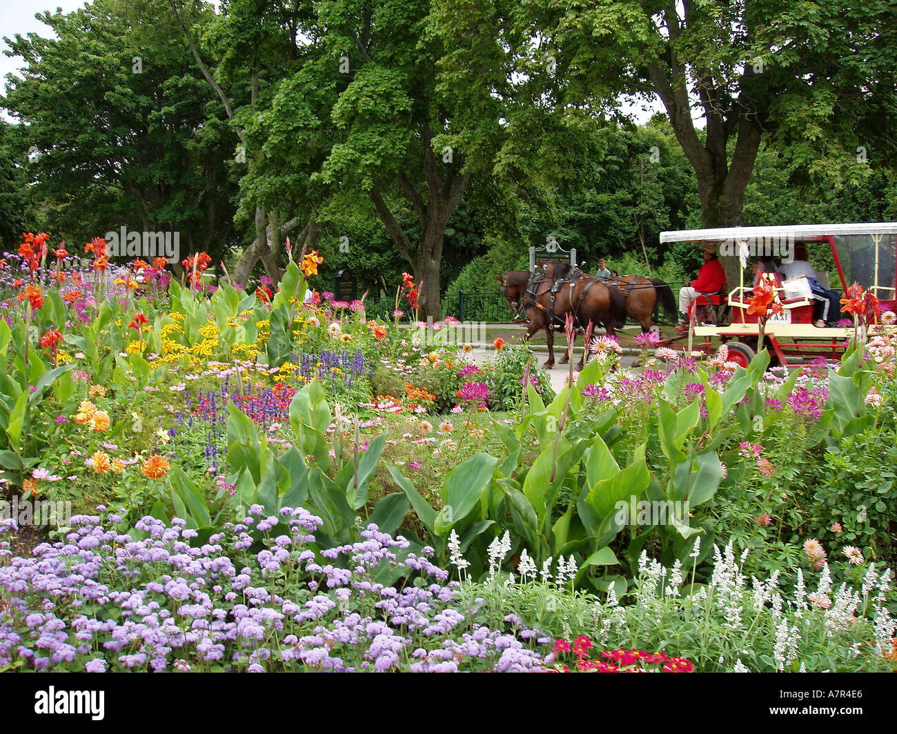 Mackinac Island Michigan Flowers and horse drawn carriage Stock Photo