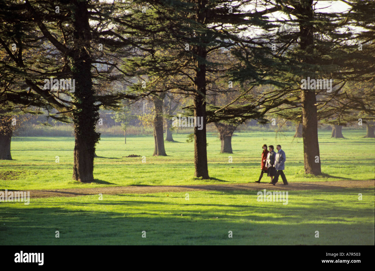 Three adults walking among trees in park South Wales UK Stock Photo