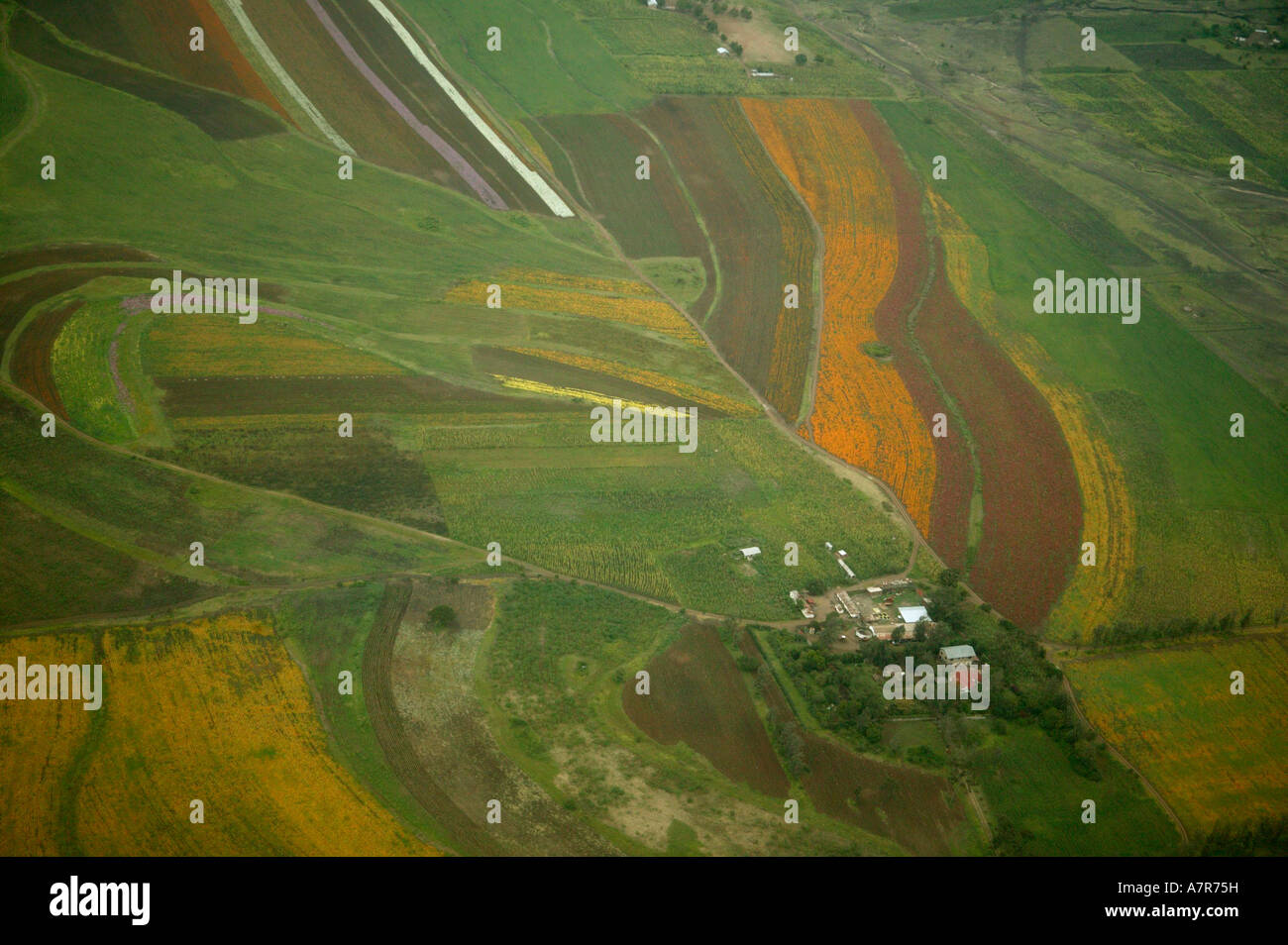 Cultivated lands hi-res stock photography and images - Alamy