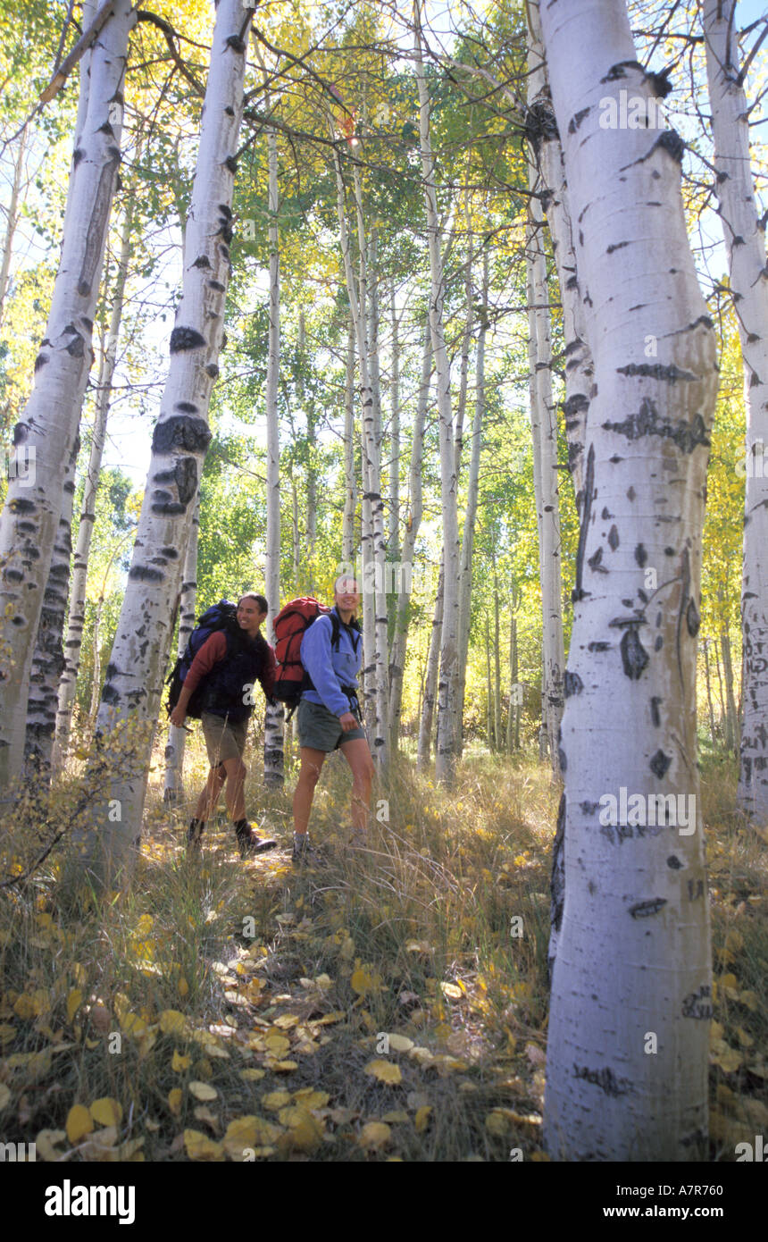Man hiking through grove hi-res stock photography and images - Alamy