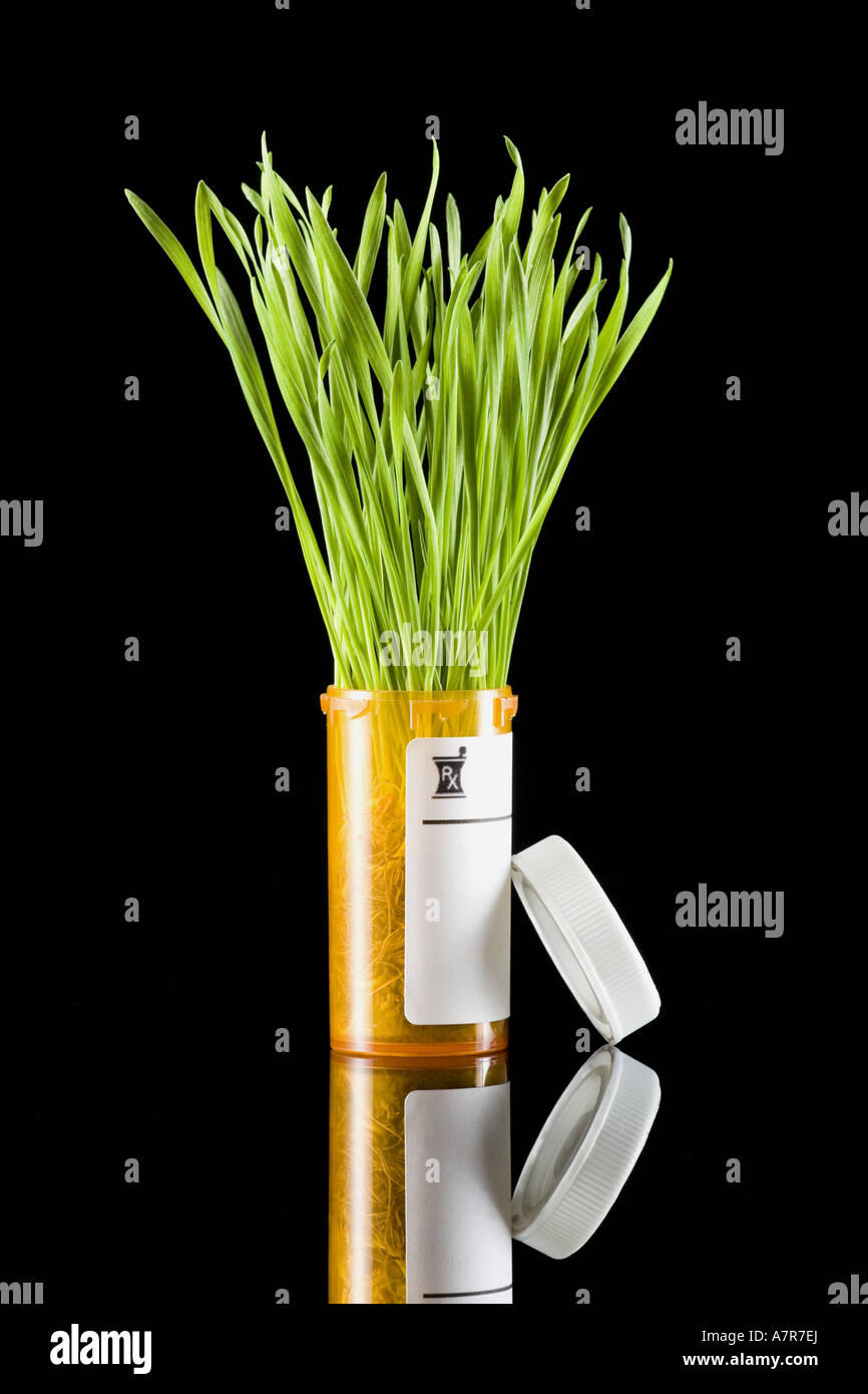 Prescription bottle with grass Stock Photo - Alamy - Prescription Medication For Grass Eating
