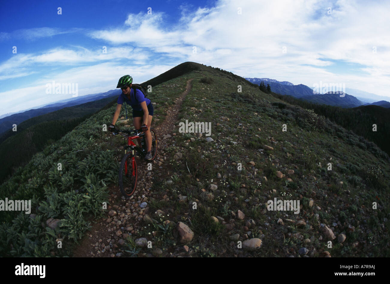 Aerial view cyclist riding mountain hi-res stock photography and images ...