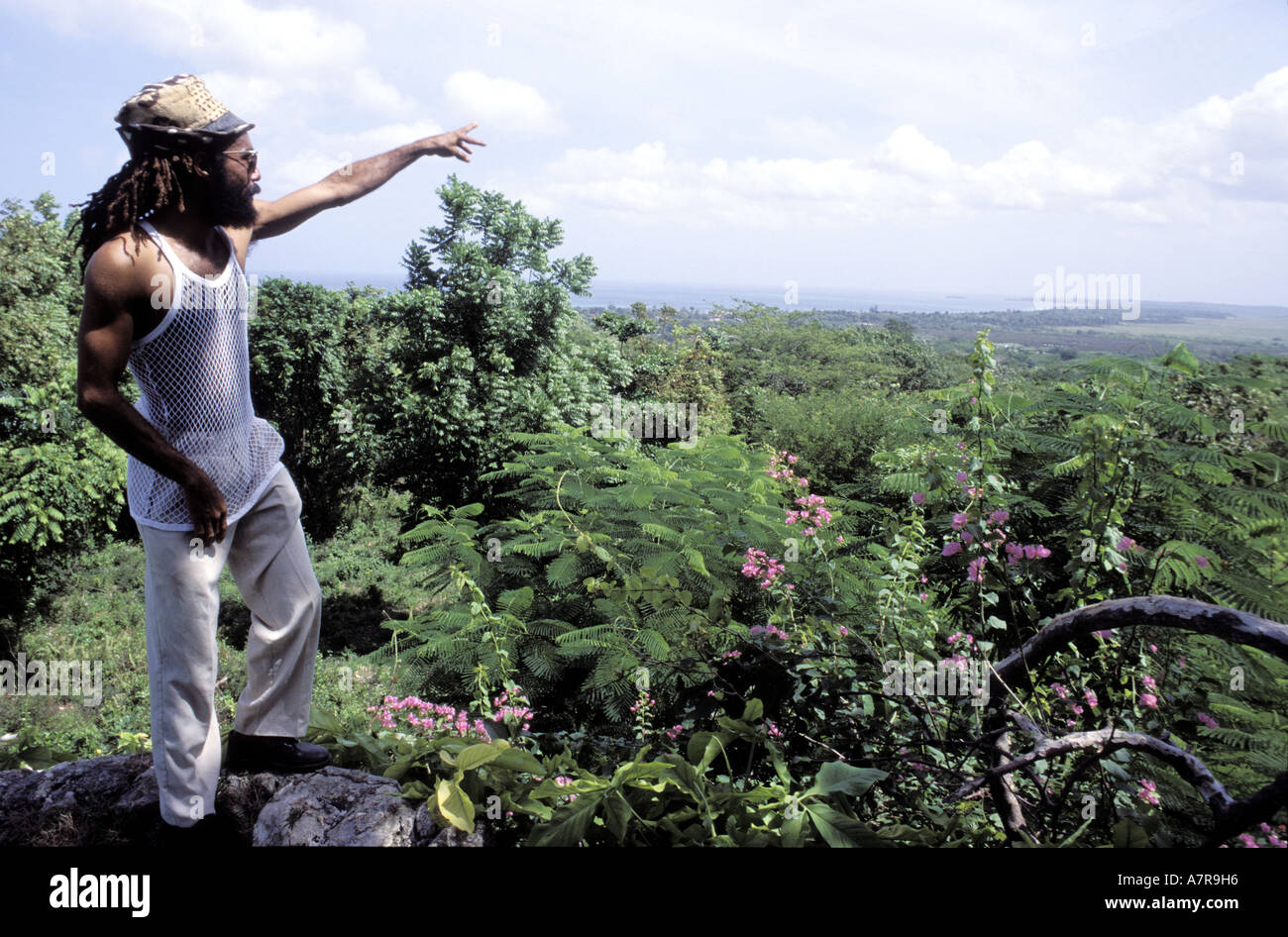 Jamaica, Westmoreland parish, Rastafarian overlooking the forest Stock