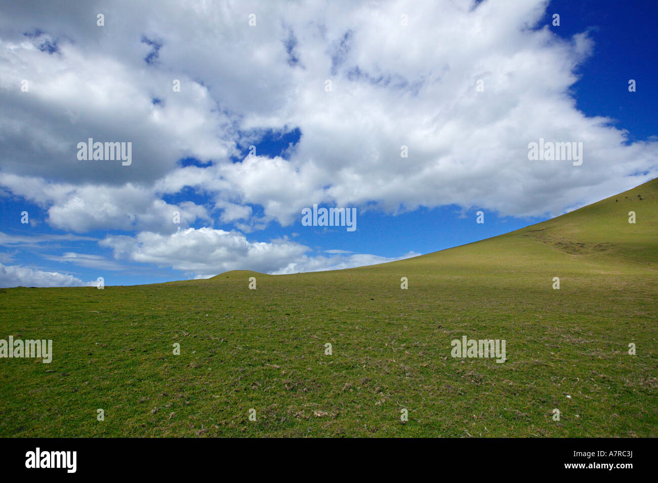 Transkei scenery with a green grassland and crisp white clouds Transkei Eastern Cape South Africa Stock Photo
